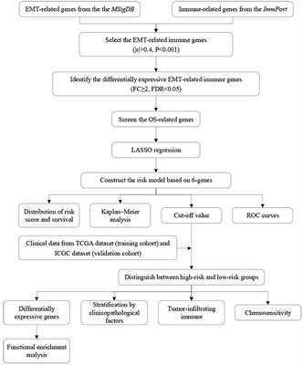 Comprehensive Analysis to Identify the Epithelial–Mesenchymal Transition-Related Immune Signatures as a Prognostic and Therapeutic Biomarkers in Hepatocellular Carcinoma